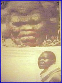 Olmec head carving with Nubian at bottom