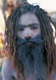 Rastafari in dread locks