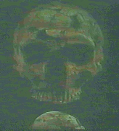 Neanderthal