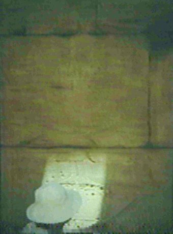 Temple drawing