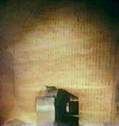 Tomb of Unas