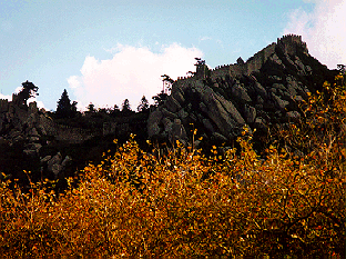 i040.gif (63812 bytes)