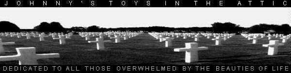Johnny's Toys in the Attic