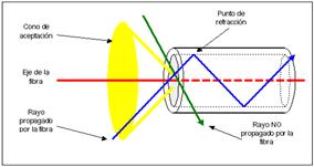 fibra3