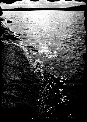 DE C�MO LA SALIVA DESEMBOCA EN EL MAR