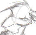 Masked Marvel