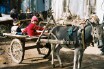 Xinjiang