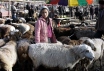 Xinjiang Markets