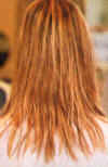 Before Great Lengths�