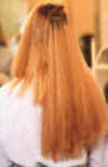 Adding Great Lengths� Extensions