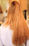 Great Lengths� Length Comparison