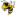 buzz
