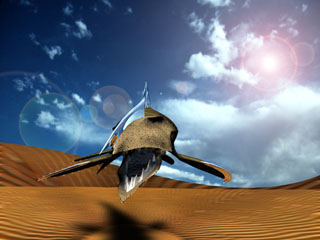 SandShark: The original