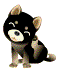 kuroshiba.gif (5697 bytes)
