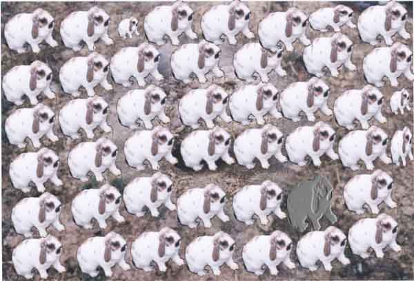 Oh No, it's a Fuzz Invasion!