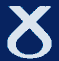 Vote SNP