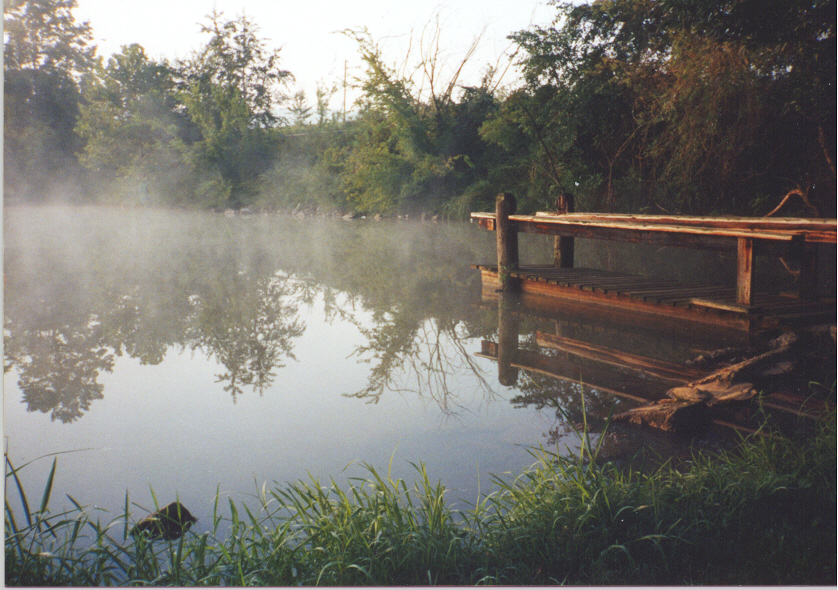 Image: Bedford Cove