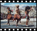 Ladakh Festival