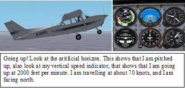 instrementflying.gif (88525 bytes)