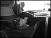 IMG_0509.JPG