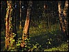 IMG_0550.JPG