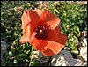 IMG_0580.JPG