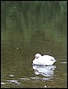 IMG_0657.JPG