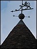 IMG_0661.JPG