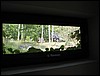 IMG_0690.JPG