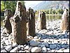 IMG_0795.JPG