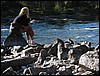 IMG_0832.JPG
