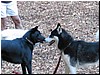 IMG_0228.jpg