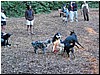 IMG_0229.jpg