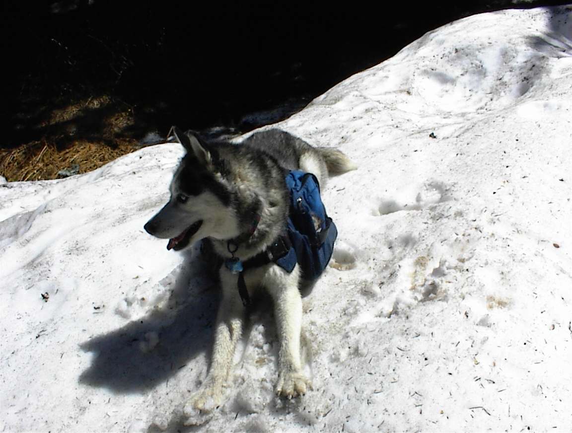 snowtosya2.jpg