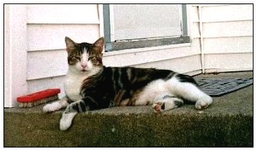 Tom