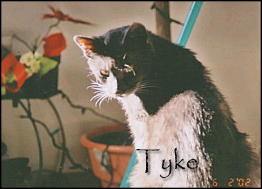 TYke