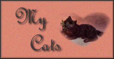 My Cats