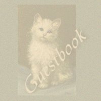 Guestbook background