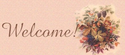 Welcome