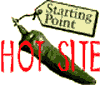 Hot Site