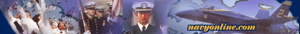 Navy Logo ??&nbsp; I must admit, I enjoyed my years in the Service.&nbsp; Great friends and great times...