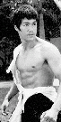 Bruce Lee the Master Web Site