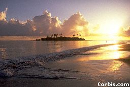 Tahiti Pix