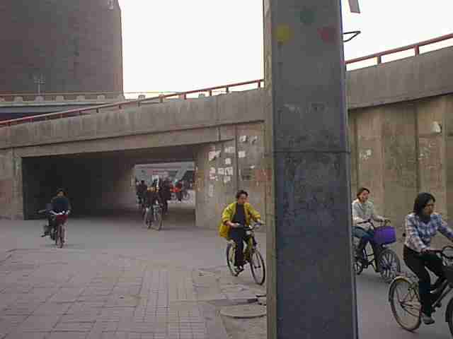 bicycles3.jpg (11926 bytes)
