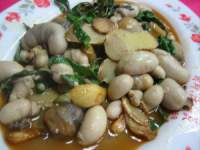 pigs testicles