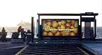 oranges223.jpg