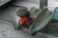 e35.jpg