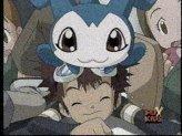 Who ever said a in-training Digimon was the new hat was very, very wrong.
