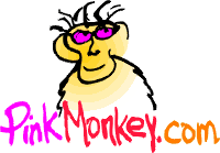 Pink Monkey