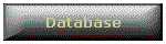 Database